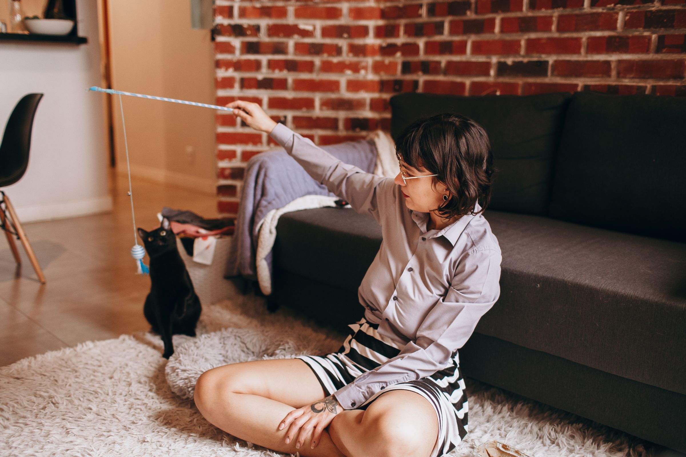 A Daily Play Routine for an Indoor Cat That Fits a Working Day