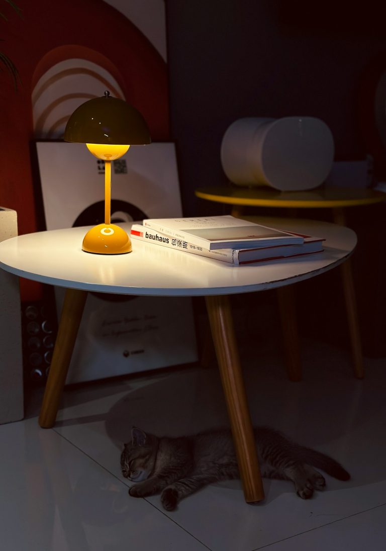 Tabby cat sleeping beneath a lamp table in a cozy room